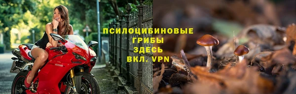 spice Зеленокумск