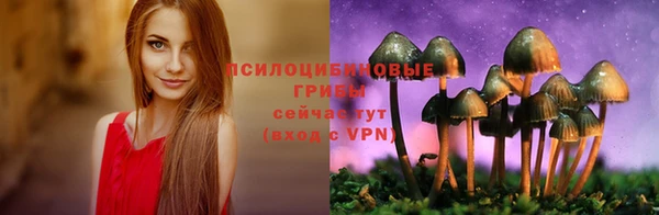 spice Белоозёрский